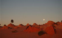 Mungo Lodge Tours And Accommodation - Hervey Bay Accommodation 8
