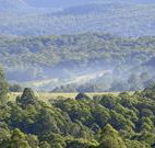 Nowendoc Country Motel - Nowendoc - Hervey Bay Accommodation