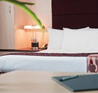 Quality Hotel on Olive - Albury - Hervey Bay Accommodation
