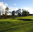 Tenterfield Golf Club and Fairways Lodge - Tenterfield - Hervey Bay Accommodation