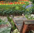 The Carrington Inn - Hervey Bay Accommodation