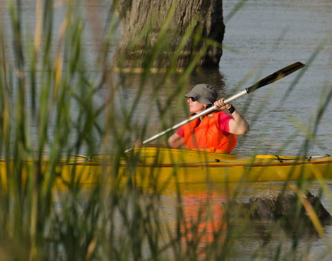 Kingston On Murray Caravan Park - Tourism Hervey Bay 4
