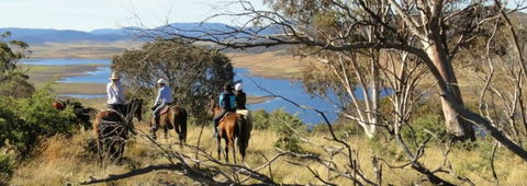 Reynella Homestead And Horseback Rides - Hervey Bay Accommodation 3
