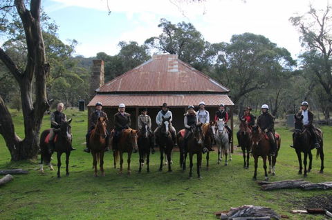 Reynella Homestead And Horseback Rides - Hervey Bay Accommodation 4