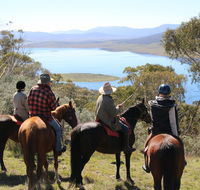 Reynella Homestead and Horseback Rides - Tourism Hervey Bay