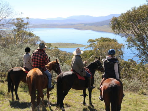 Reynella Homestead And Horseback Rides - Hervey Bay Accommodation 0