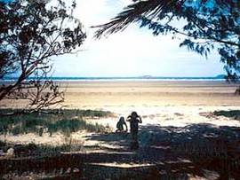 Midge Point QLD Hervey Bay Accommodation