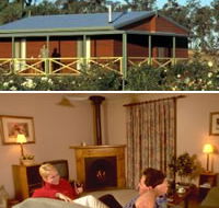 Twin Trees Country Cottages - Hervey Bay Accommodation