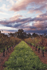 Millendon WA Hervey Bay Accommodation