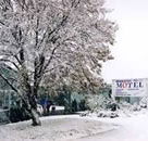 Maneroo Motel - Hervey Bay Accommodation