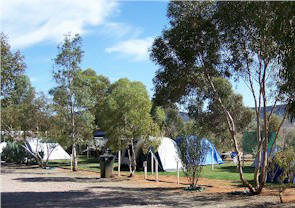 Flinders Ranges Caravan Park - Hervey Bay Accommodation 2