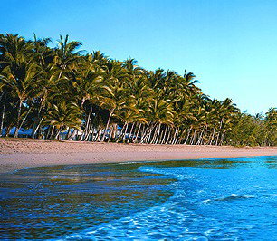 Novotel Palm Cove Resort - Hervey Bay Accommodation 1