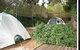 The Flying Fox Backpackers - thumb 2