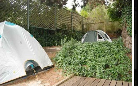 The Flying Fox Backpackers - Hervey Bay Accommodation 2