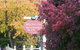 Shelton-lea Bed & Breakfast - thumb 0