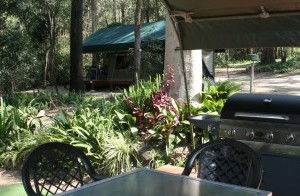Tamborine Mountain Caravan & Camping - Tourism Hervey Bay 2