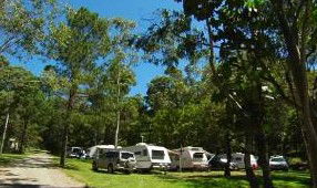 Tamborine Mountain Caravan & Camping - Tourism Hervey Bay 3