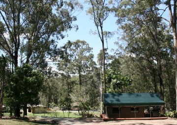 Tamborine Mountain Caravan & Camping - Tourism Hervey Bay 4