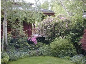 FINCHES OF BEECHWORTH - Tourism Hervey Bay 1