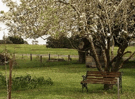 Lemon Gum B And B - Hervey Bay Accommodation 2