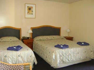 Mudgee Motor Inn - Hervey Bay Accommodation 0