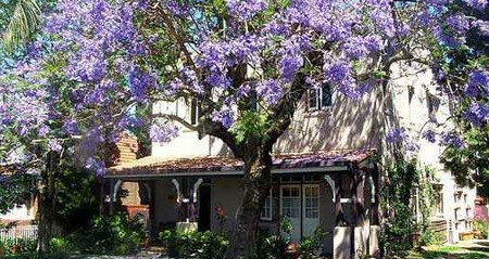 Burwood Boronia Lodge Private Hotel - Hervey Bay Accommodation 2