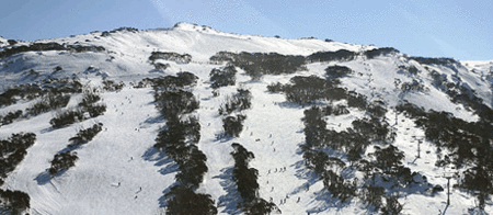 Thredbo Alpine Hotel - Hervey Bay Accommodation