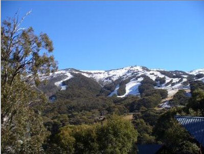 Alpenhorn Lodge - Hervey Bay Accommodation 1