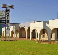 Citrus Motel - Hervey Bay Accommodation