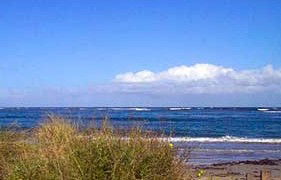 Carleton Inn - Hervey Bay Accommodation 2