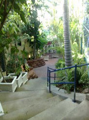Reef Lodge Backpackers - Hervey Bay Accommodation 1