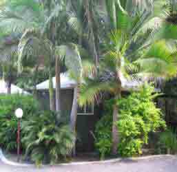 Nambour Rainforest Holiday Village - Hervey Bay Accommodation 1
