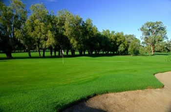Golf Links Motel - Hervey Bay Accommodation 7