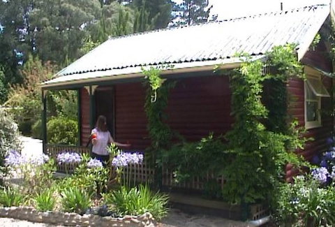 Cedar Lodge Cabins - Tourism Hervey Bay 1