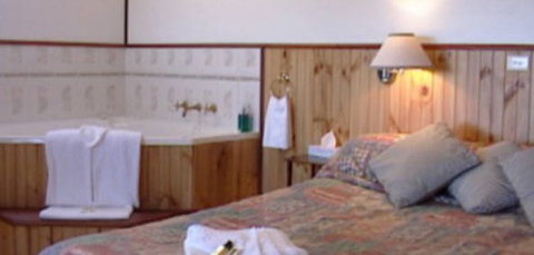 Cedar Lodge Cabins - Tourism Hervey Bay 2
