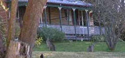 Cedar Lodge Cabins - Tourism Hervey Bay 3