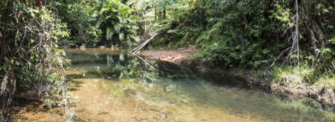 Mission Reef Resort - Hervey Bay Accommodation 4