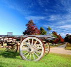 The Oaks Ranch and Country Club - Mossy Point - Hervey Bay Accommodation