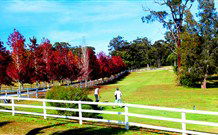 The Oaks Ranch And Country Club - Mossy Point - Hervey Bay Accommodation 1