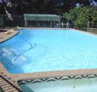 Tree Motel - Narooma - Hervey Bay Accommodation