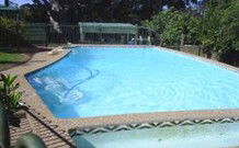 Tree Motel - Narooma - Hervey Bay Accommodation 0