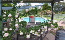 Valley View Motel Murrurundi - Murrurundi - Hervey Bay Accommodation 2