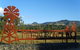 Valley View Motel Murrurundi - Murrurundi - thumb 3