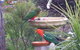 Valley View Motel Murrurundi - Murrurundi - thumb 4