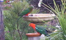 Valley View Motel Murrurundi - Murrurundi - Hervey Bay Accommodation 4