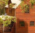 Barrington Tops Organic Retreat - Hervey Bay Accommodation