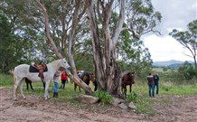 Hidden Valley Farm - Tourism Hervey Bay 1