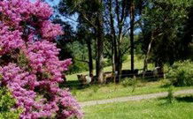 Historic Roseneath Station - Hervey Bay Accommodation 5