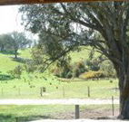 Hosanna Farm Retreat - Hervey Bay Accommodation