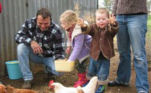 Linga Longa Farm Wingham - Hervey Bay Accommodation 0